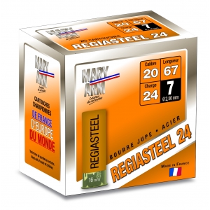 REGIASTEEL 24 BJ ACIER