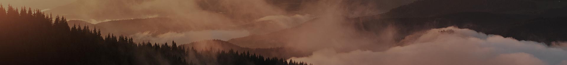 Munitions Lisses Chasse